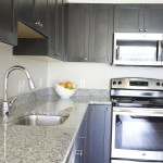 kitchen at Broadleaf Boulevard Apartments