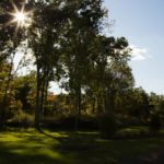 Grounds at Broadleaf Boulevard Apartments in Manchester CT